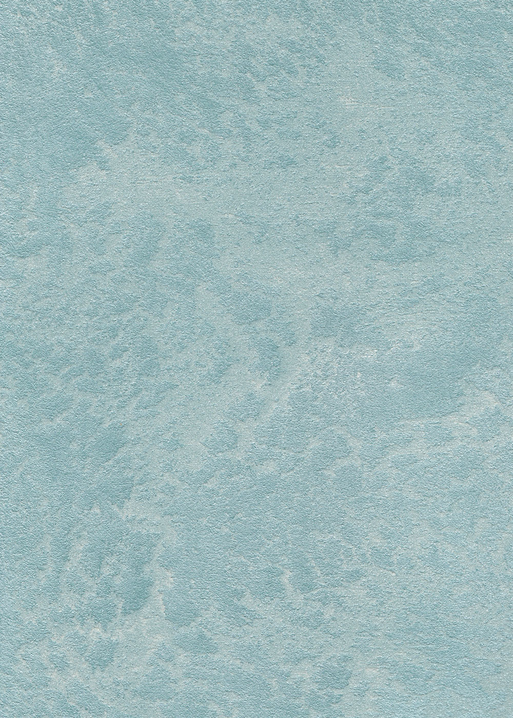 C 31 - d