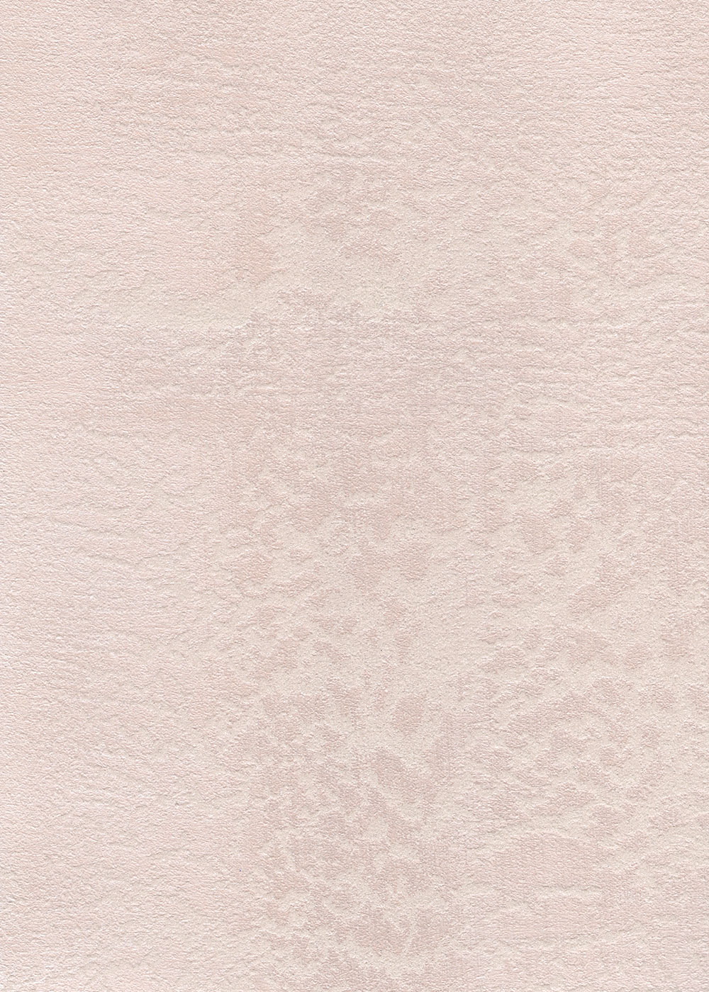 C 11 - b