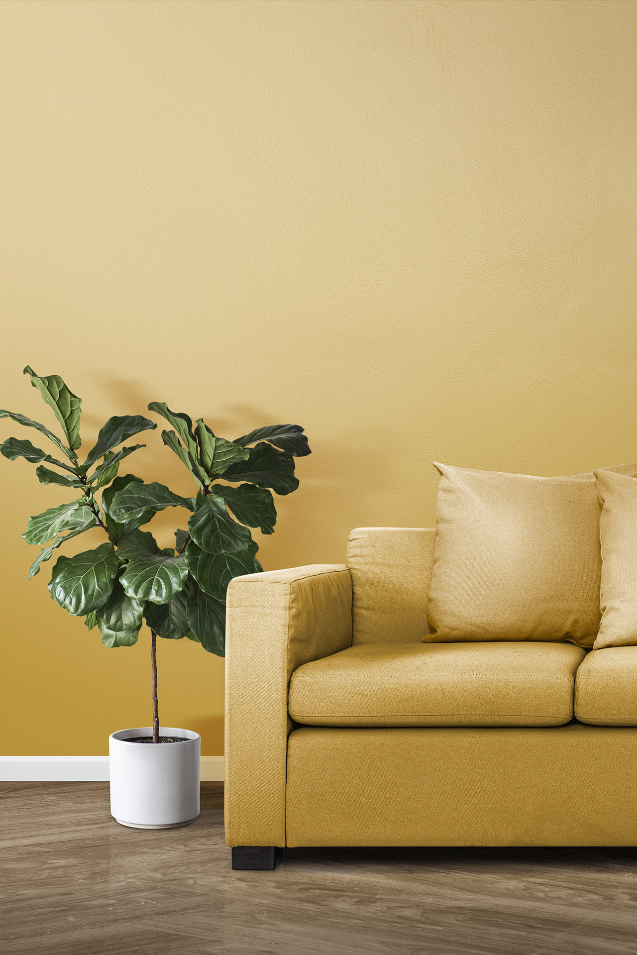 Желтый цвет стен Maxima-decor